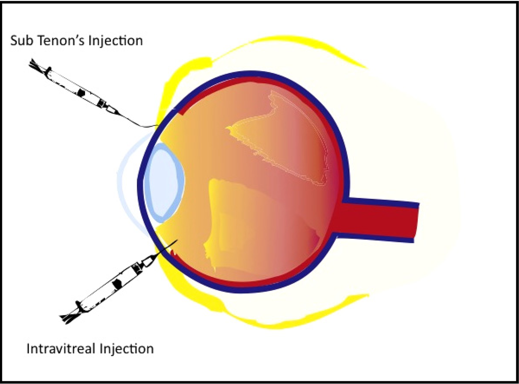 Pharmaceutics 04 00230 g001 1024