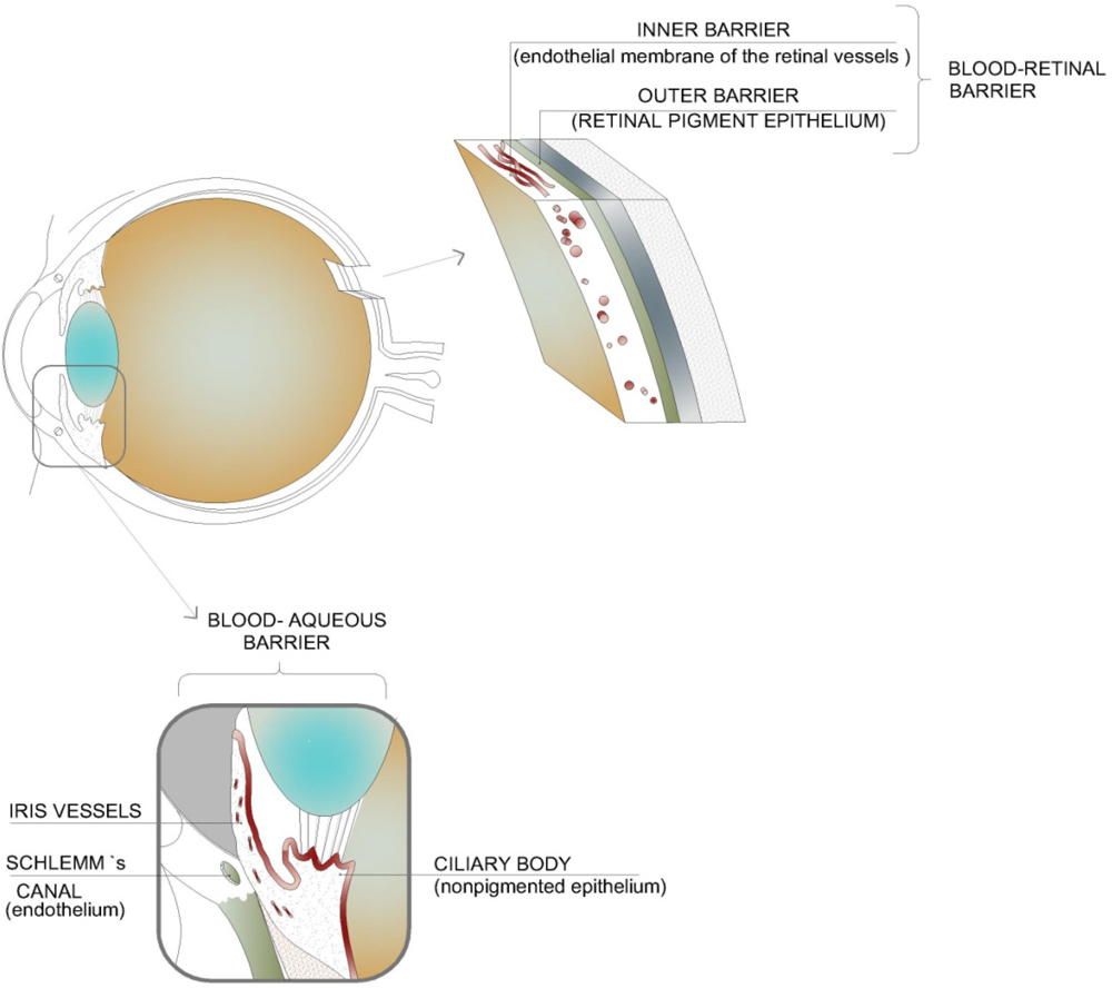 Pharmaceutics 04 00252 g001 1024