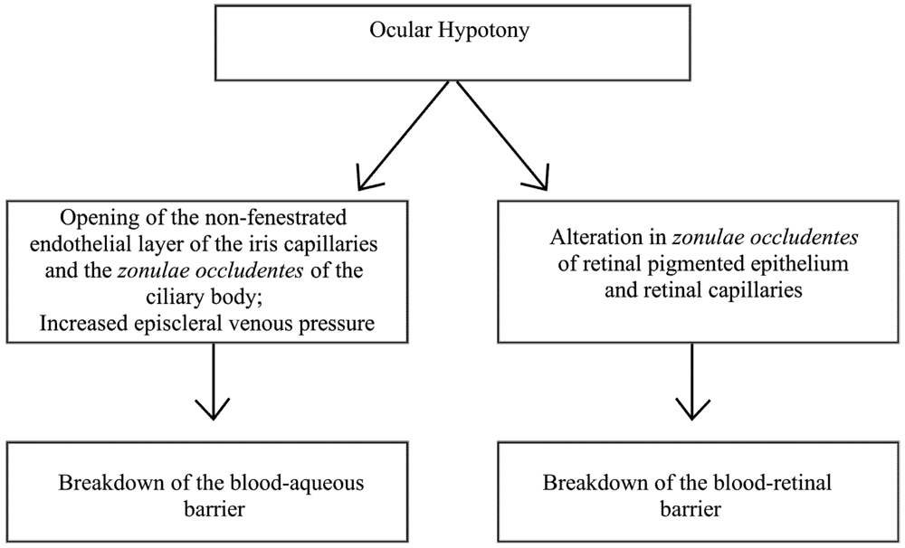 Pharmaceutics 04 00252 g004 1024