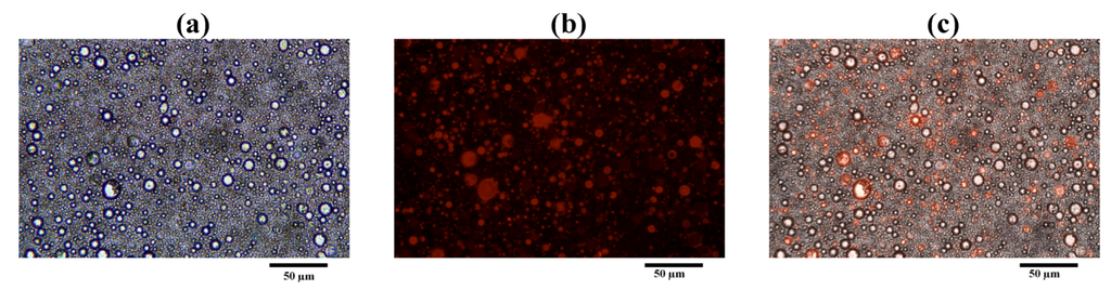 Pharmaceutics 04 00385 g011 1024