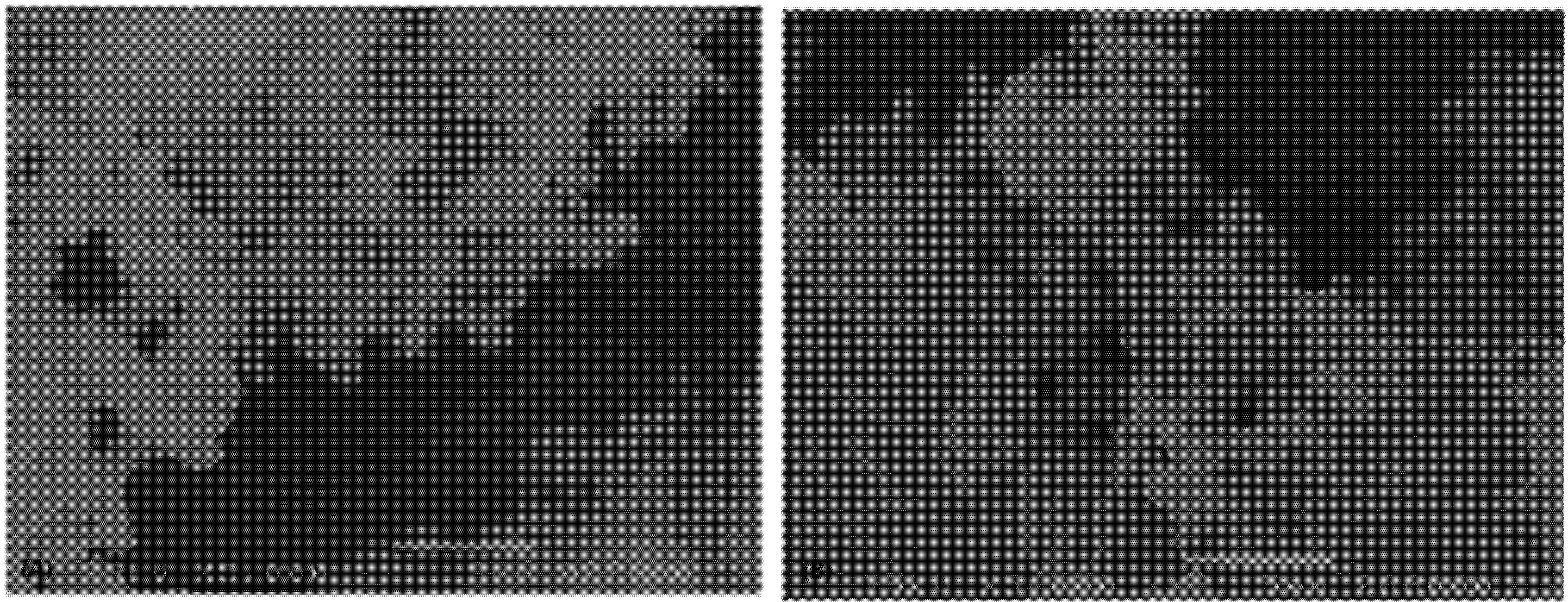 Pharmaceutics 04 00430 g001
