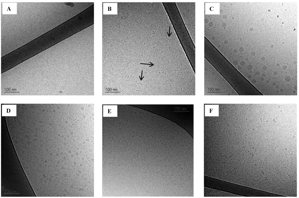 Pharmaceutics 04 00641 g006 1024