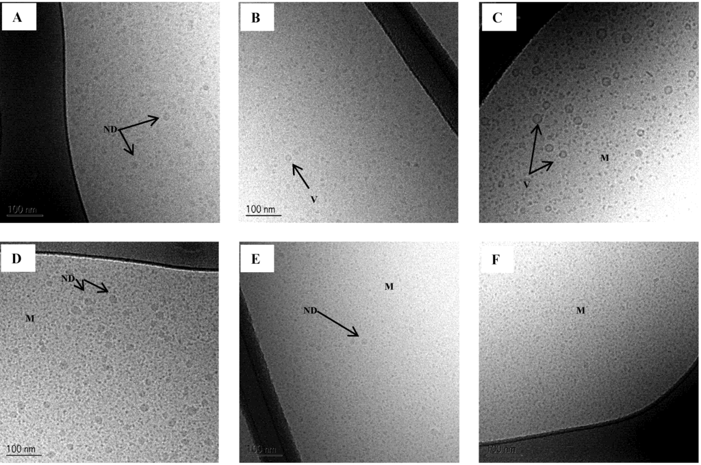 Pharmaceutics 04 00641 g007 1024