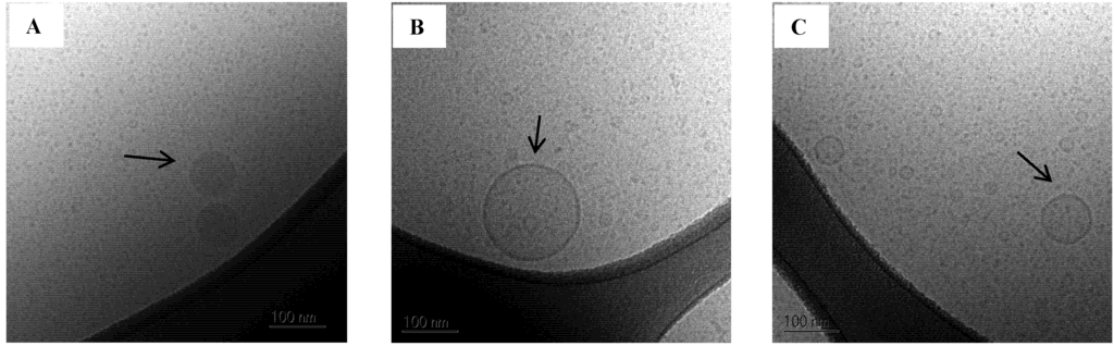 Pharmaceutics 04 00641 g008 1024