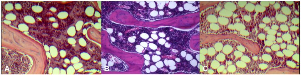 Pharmaceutics 05 00023 g002 1024