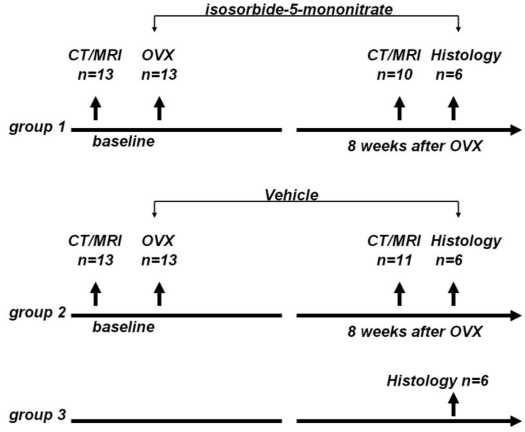Pharmaceutics 05 00023 g005 1024