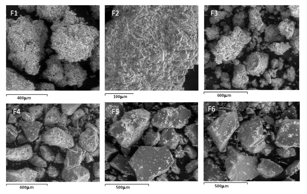 Pharmaceutics 05 00069 g004 1024