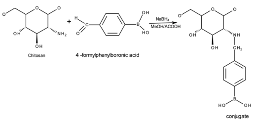 Pharmaceutics 05 00069 i001