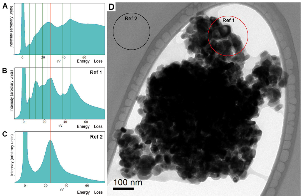 Pharmaceutics 05 00115 g002 1024