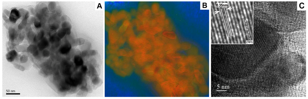 Pharmaceutics 05 00115 g003 1024