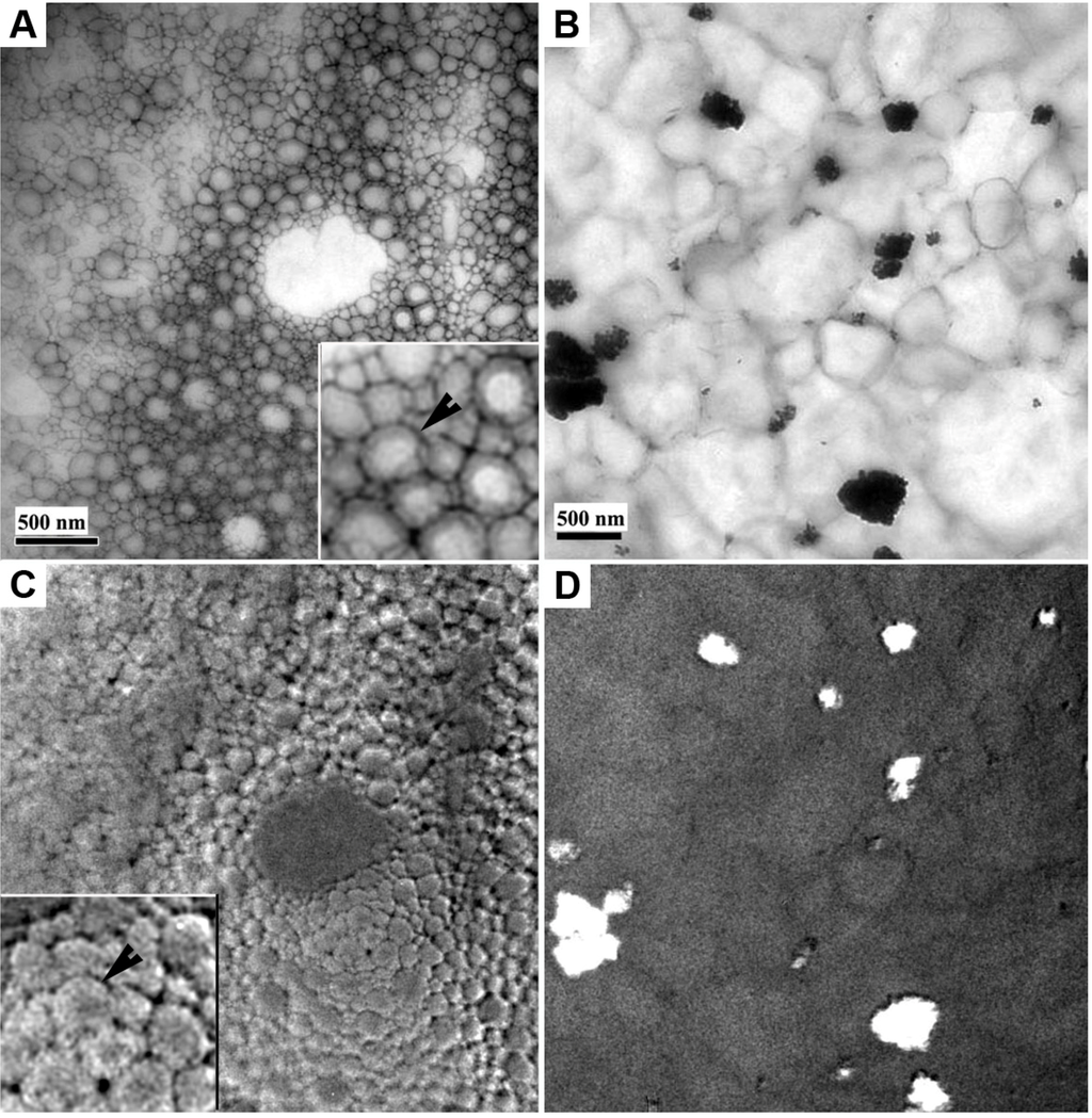 Pharmaceutics 05 00115 g004 1024