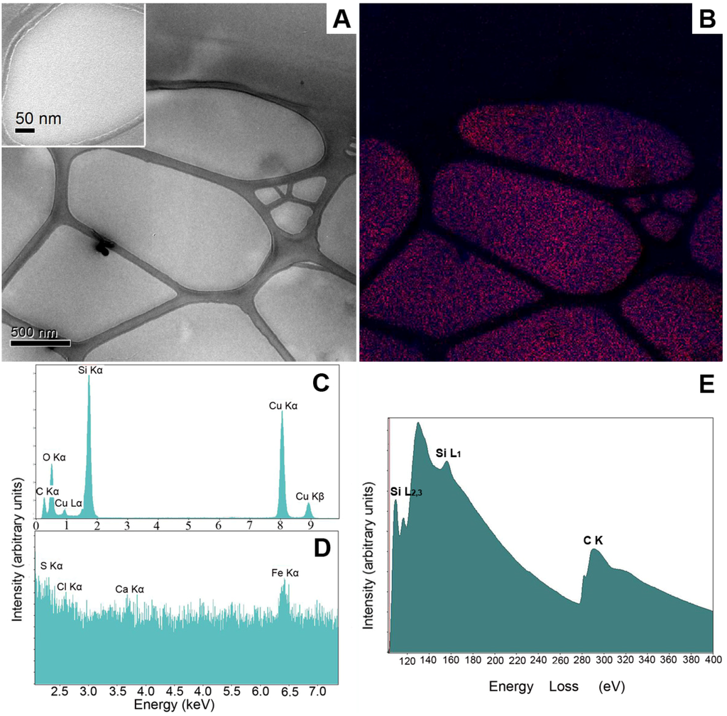 Pharmaceutics 05 00115 g005 1024