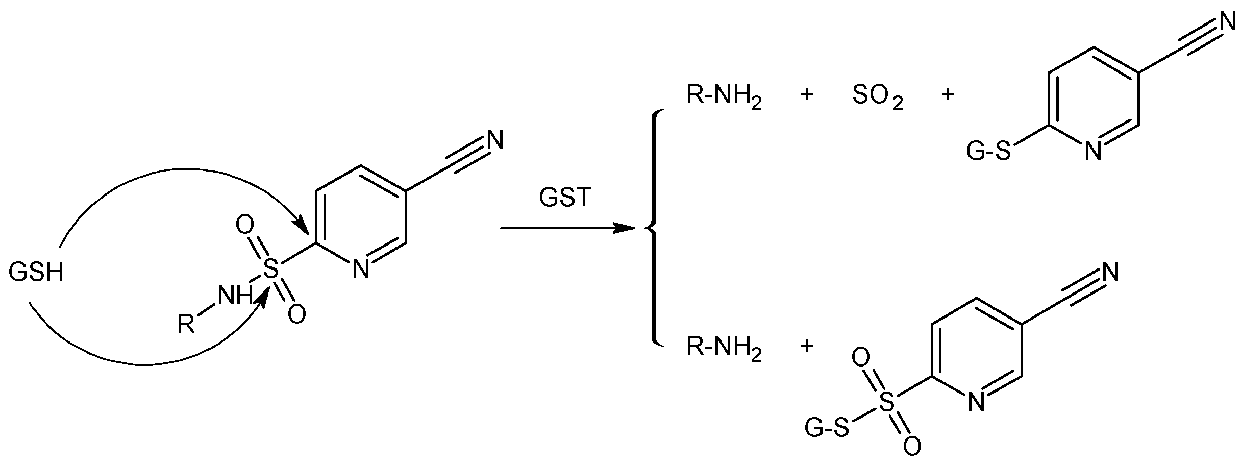 Pharmaceutics 05 00220 g005