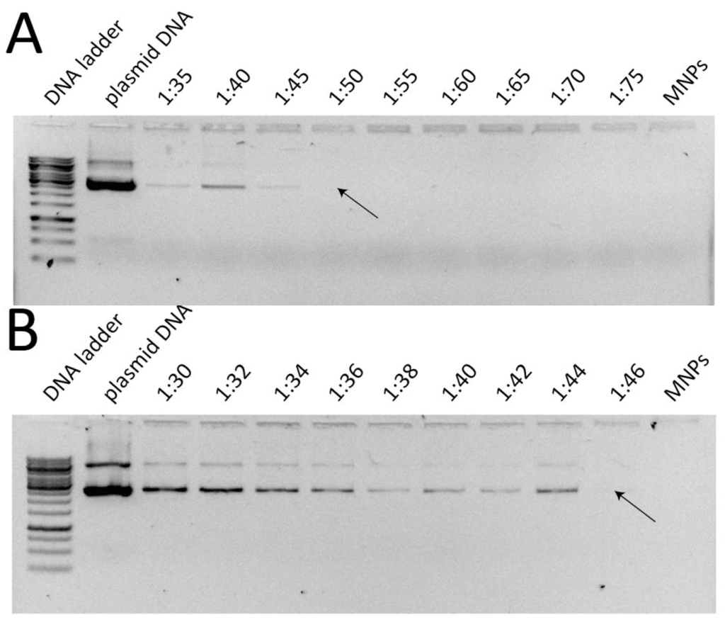 Pharmaceutics 05 00246 g003 1024