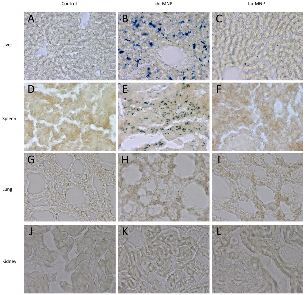 Pharmaceutics 05 00246 g005 1024