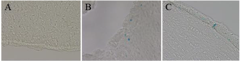 Pharmaceutics 05 00246 g006 1024