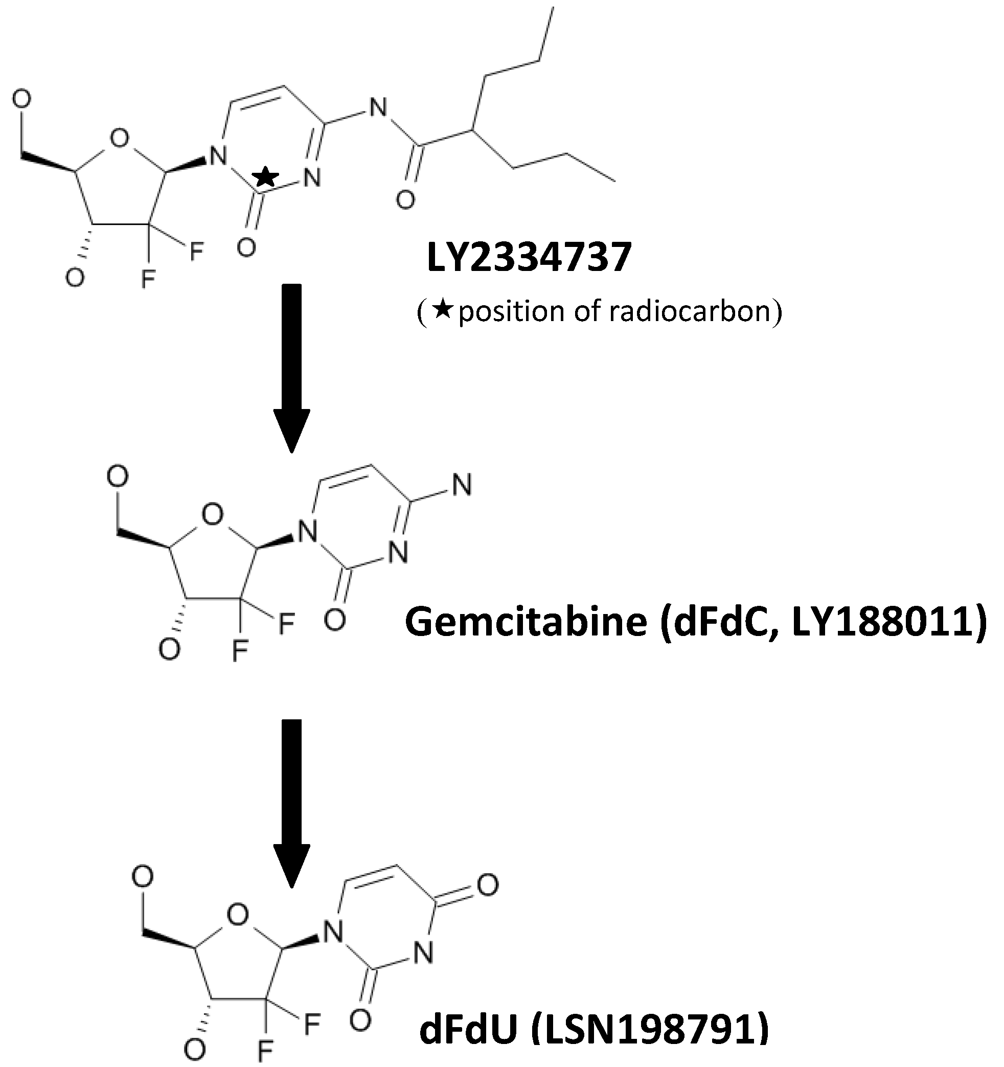 Pharmaceutics 05 00261 g001