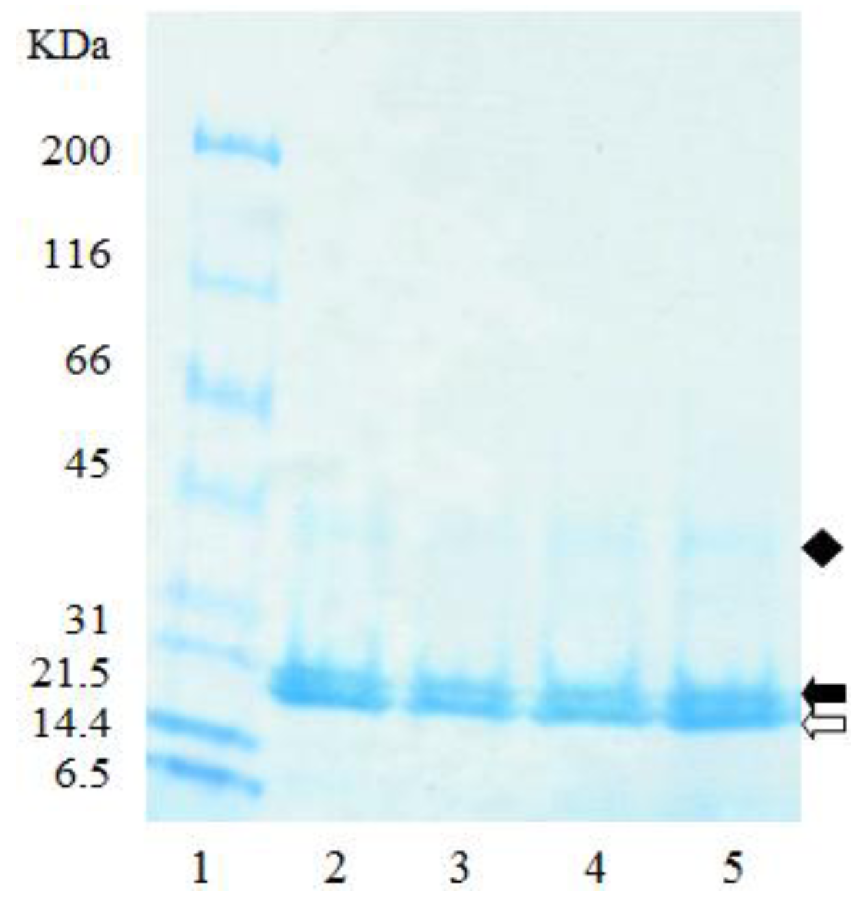 Pharmaceutics 05 00277 g005