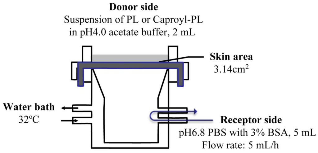 Pharmaceutics 05 00371 g001 1024