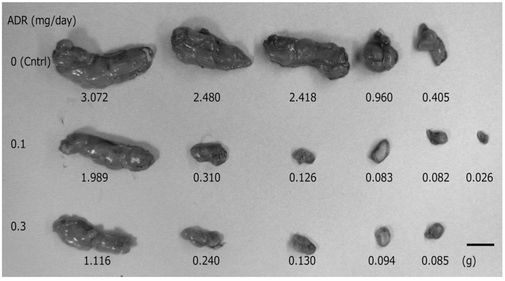 Pharmaceutics 05 00385 g001