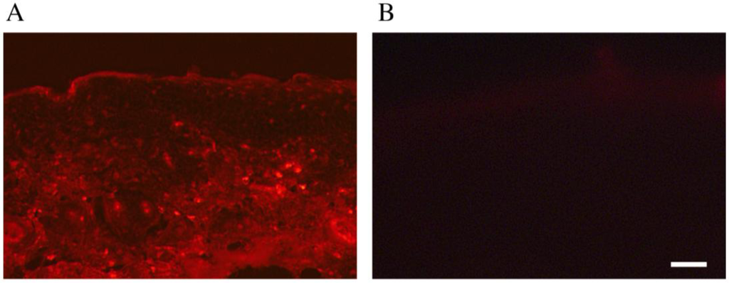 Pharmaceutics 05 00385 g003 1024