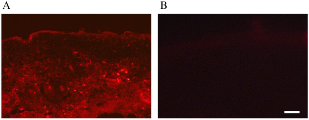 Pharmaceutics 05 00385 g003