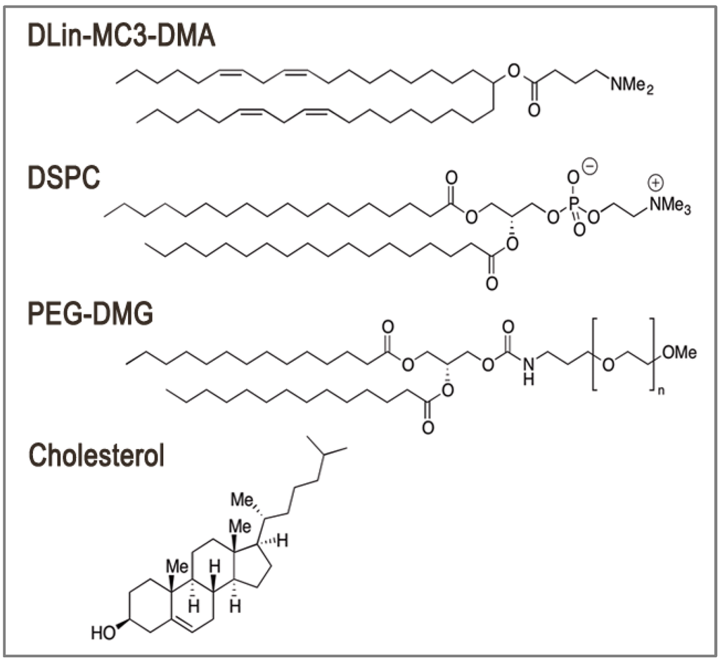 Pharmaceutics 05 00498 g001 1024