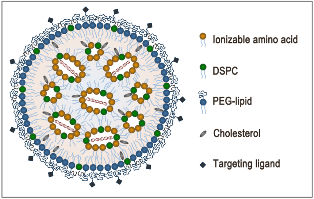 Pharmaceutics 05 00498 g002 1024