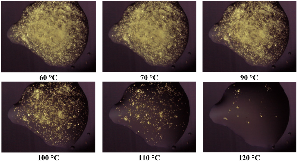Pharmaceutics 05 00570 g004 1024