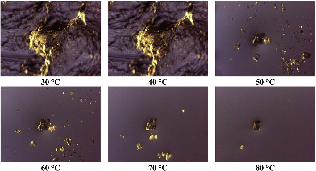 Pharmaceutics 05 00570 g005 1024