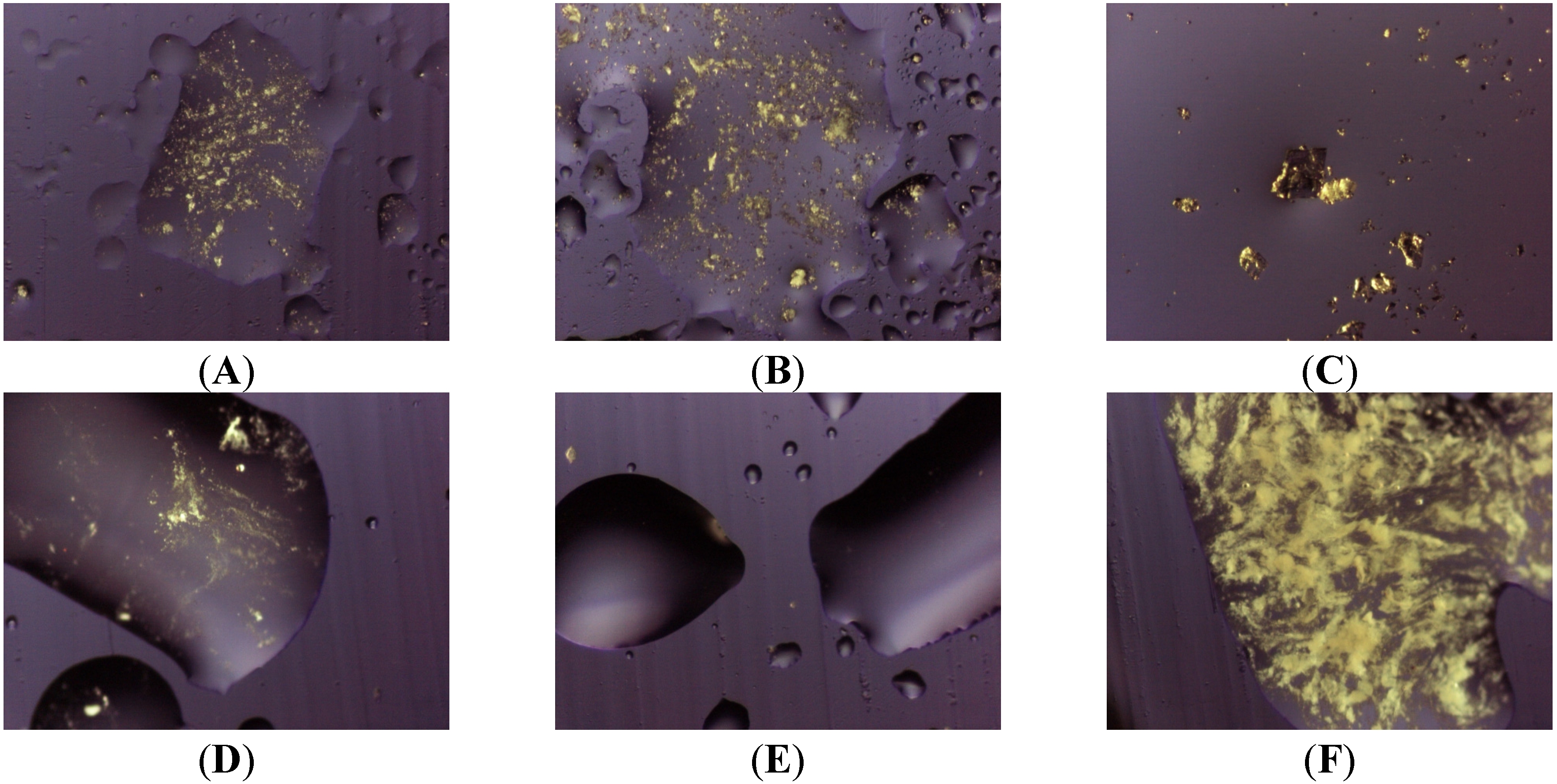 Pharmaceutics 05 00570 g006