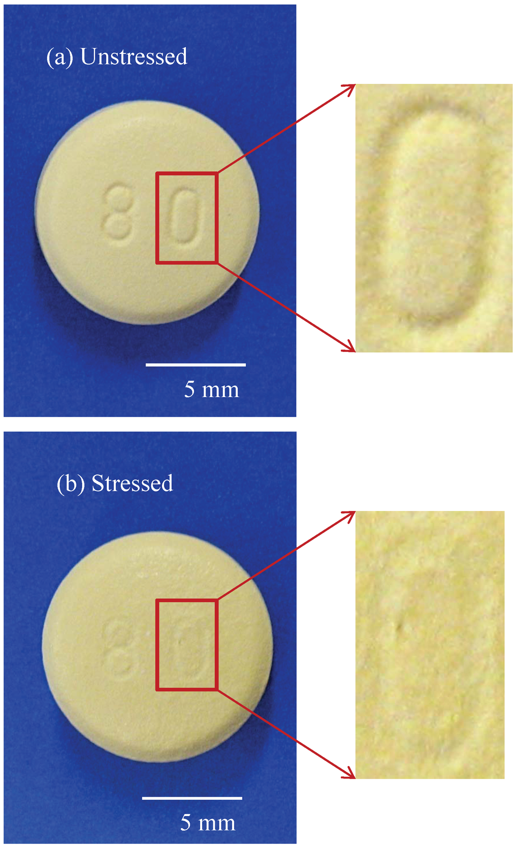 Pharmaceutics 05 00591 g002 1024