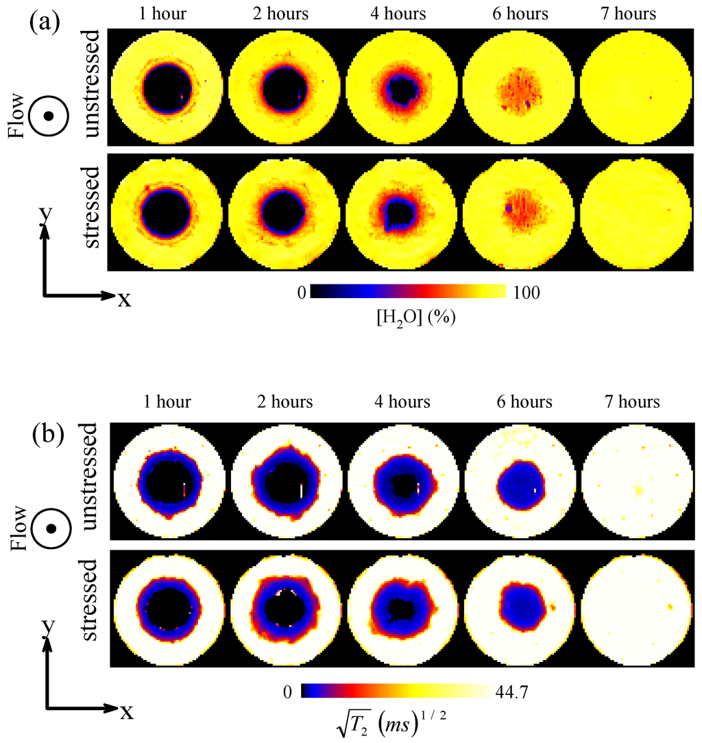 Pharmaceutics 05 00591 g008 1024