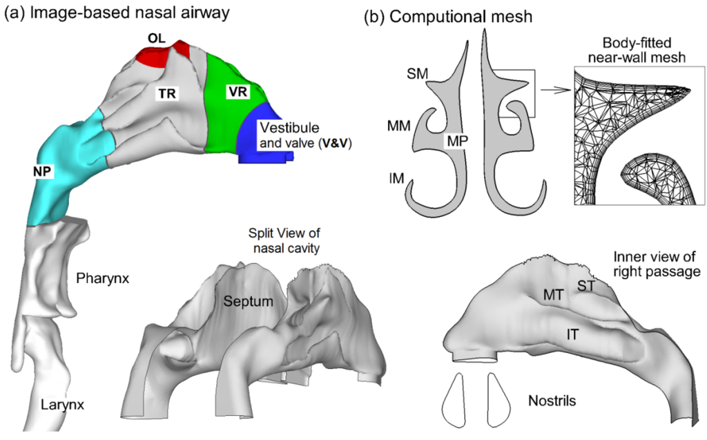 Pharmaceutics 06 00026 g001 1024