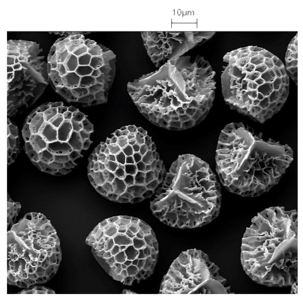 Pharmaceutics 06 00080 g001 1024