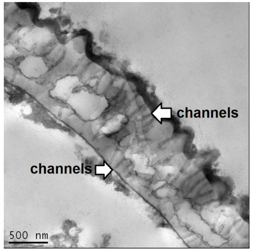 Pharmaceutics 06 00080 g003 1024