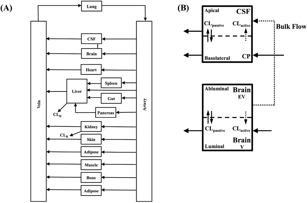 Pharmaceutics 06 00097 g001 1024