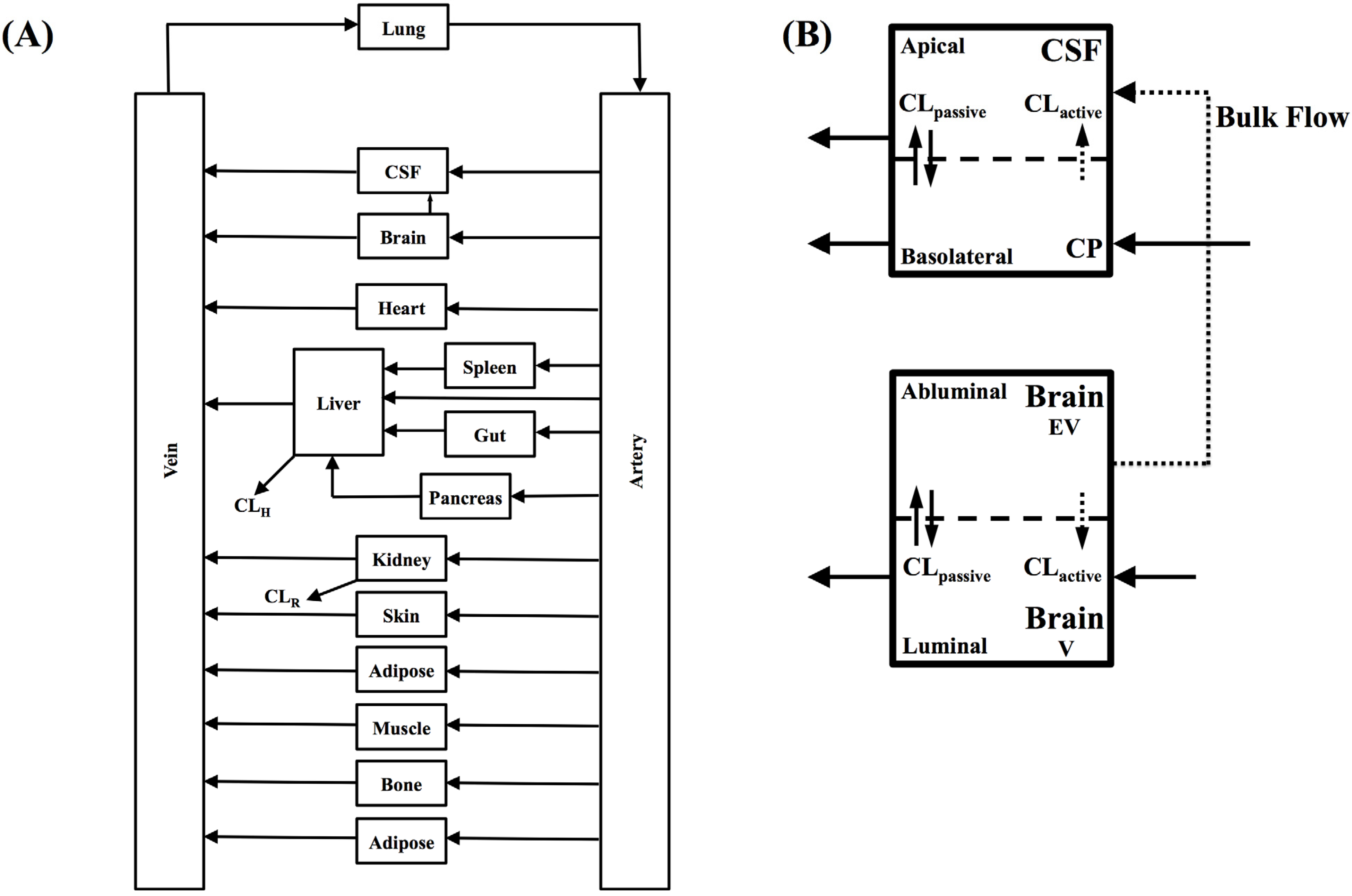 Pharmaceutics 06 00097 g001