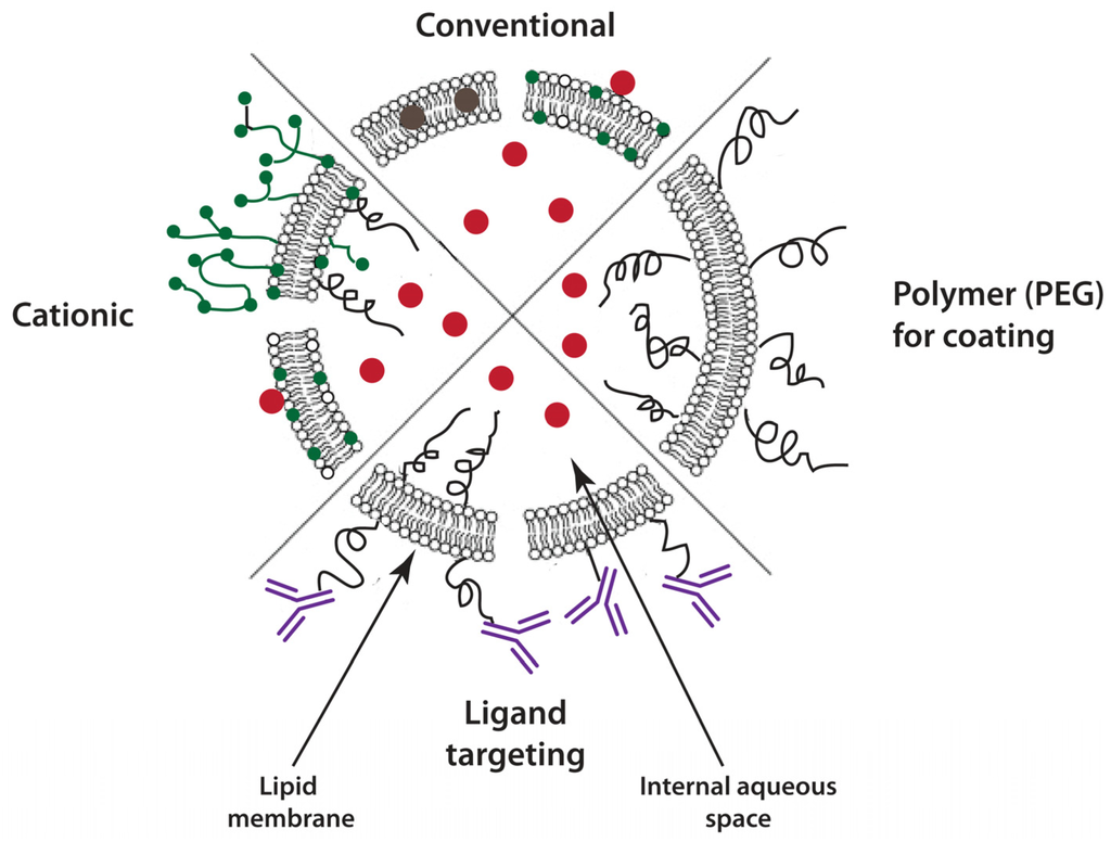 Pharmaceutics 06 00137 g001 1024