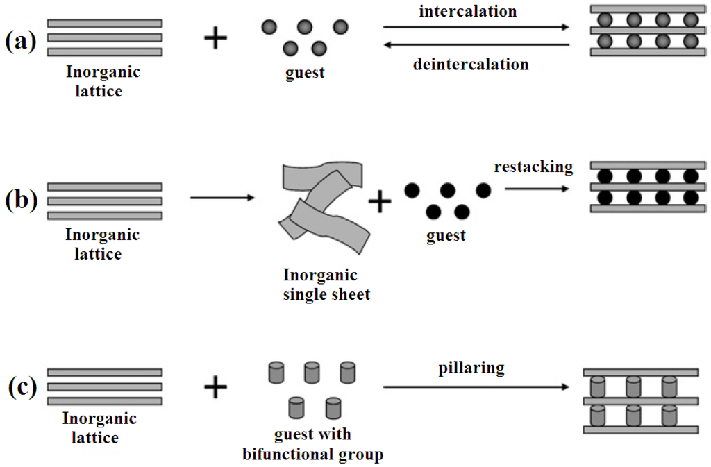 Pharmaceutics 06 00298 g002 1024