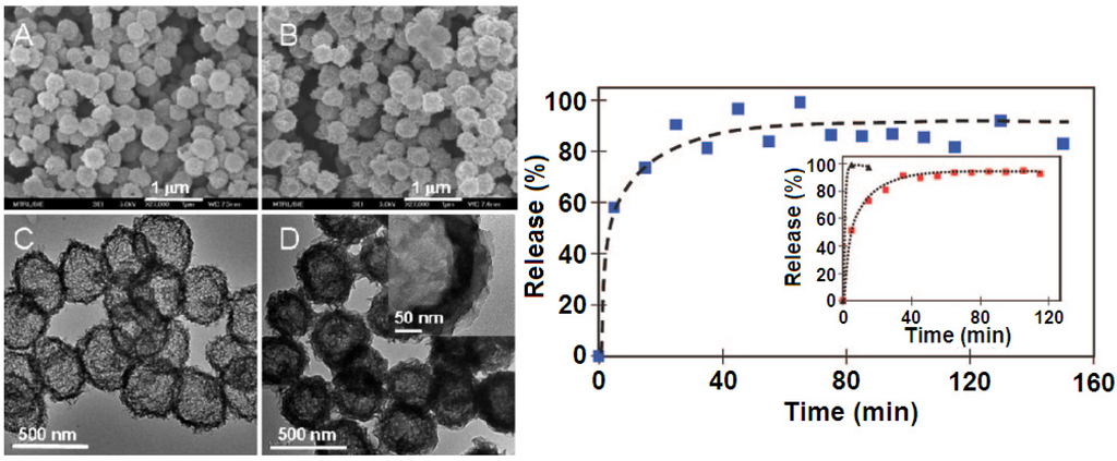 Pharmaceutics 06 00298 g009 1024