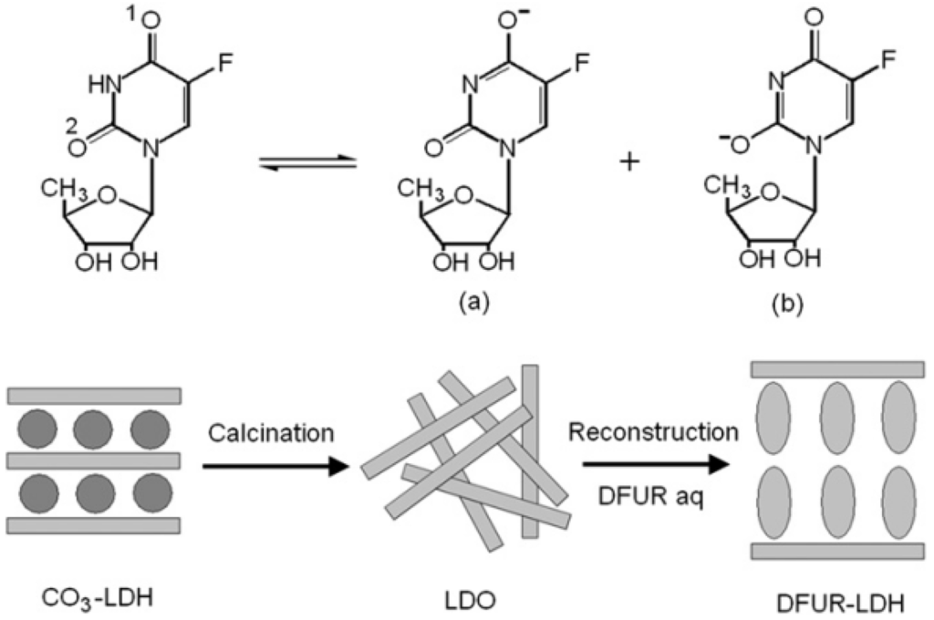 Pharmaceutics 06 00298 g016 1024