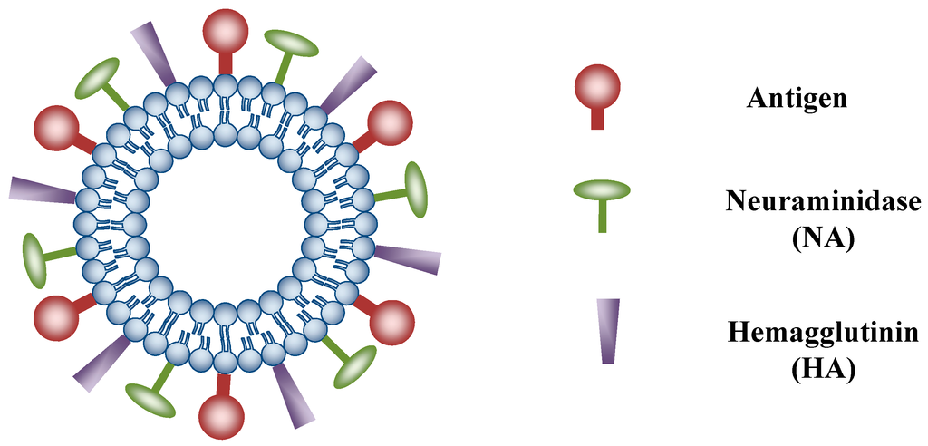 Pharmaceutics 06 00378 g004 1024