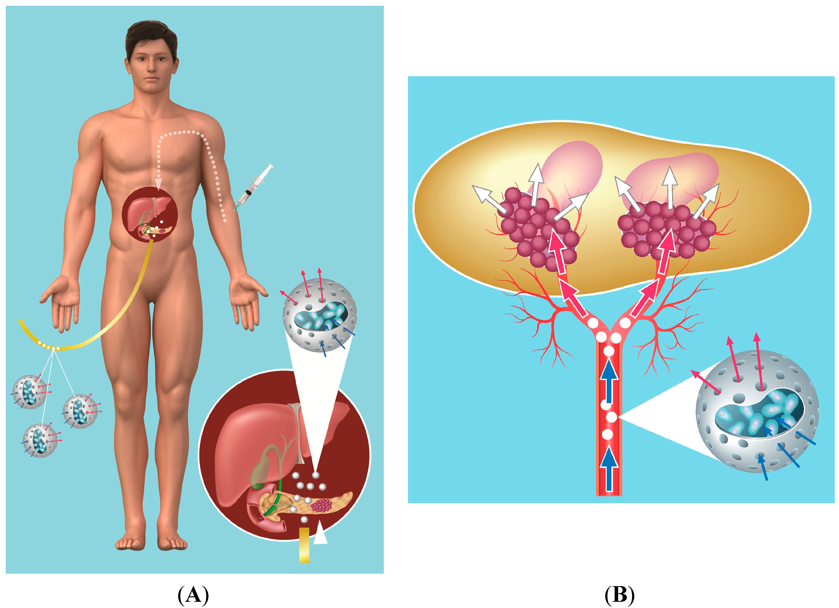 Pharmaceutics 06 00447 g001