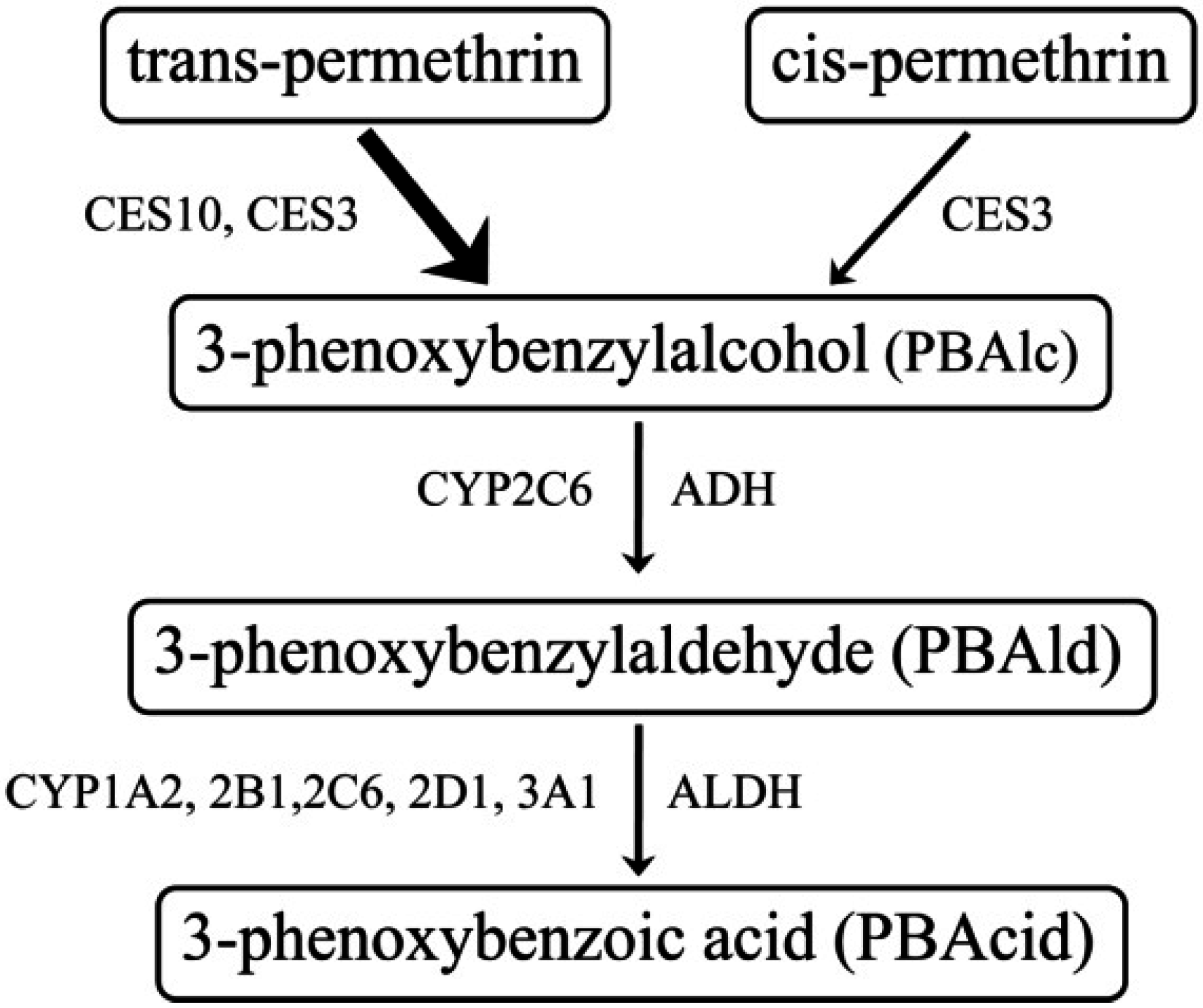 Pharmaceutics 07 00010 g002
