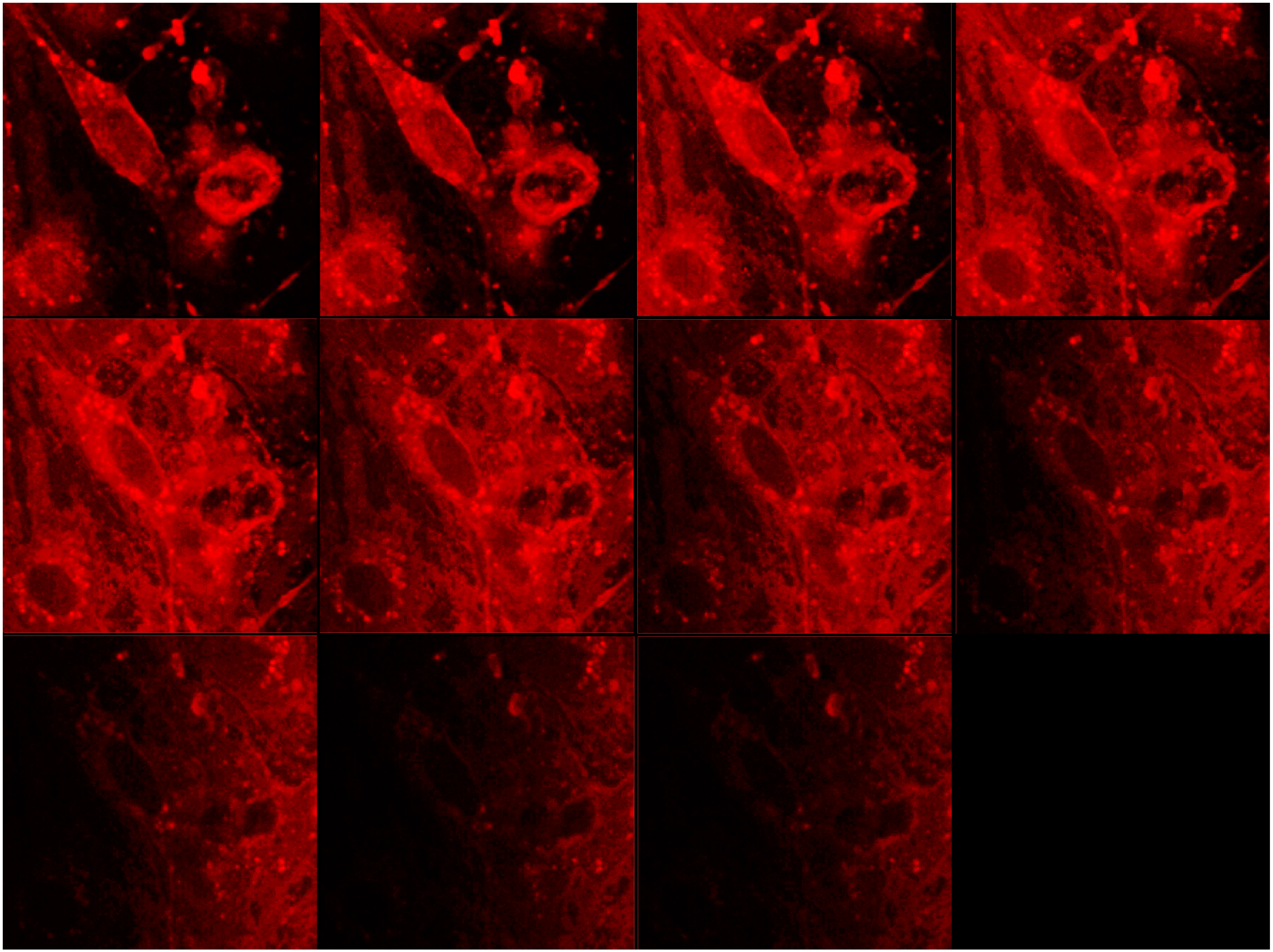 Pharmaceutics 07 00027 g004