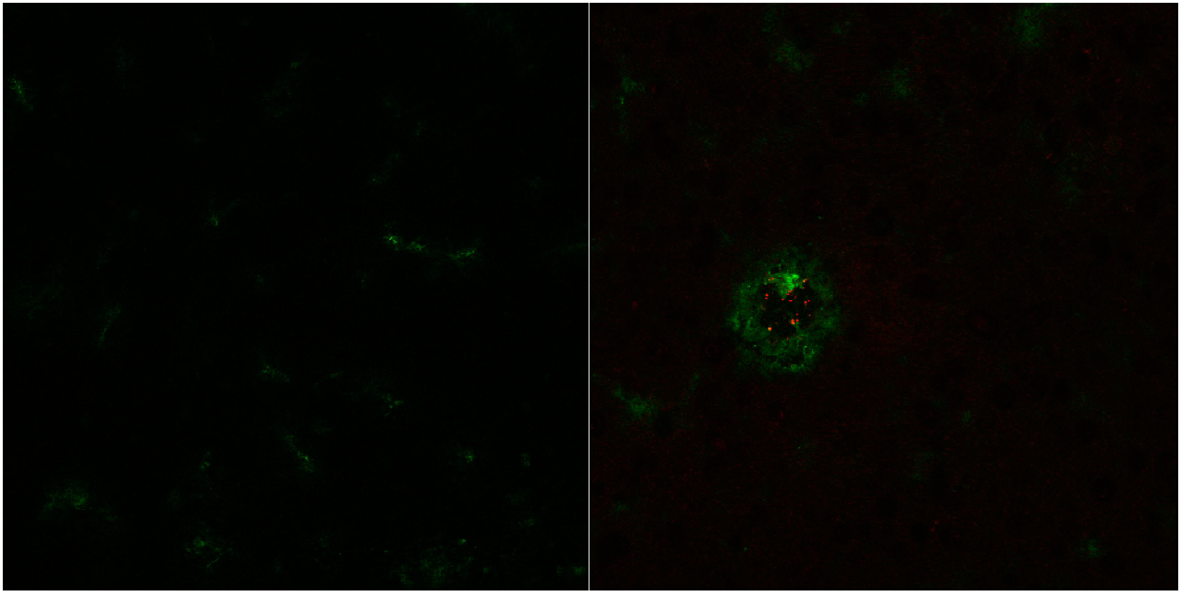 Pharmaceutics 07 00027 g005