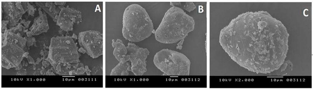 Pharmaceutics 07 00043 g004 1024