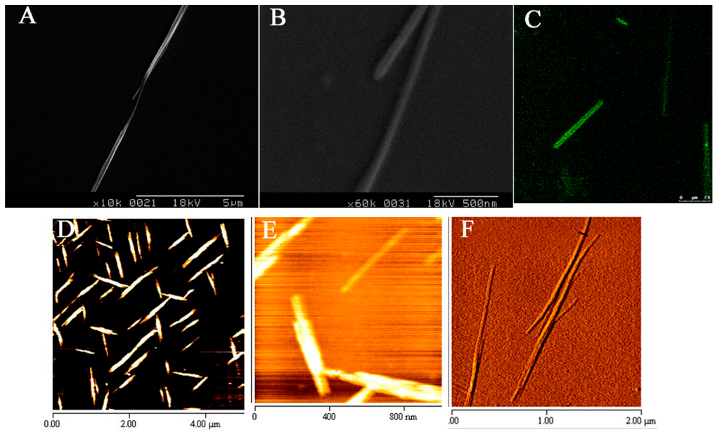 Pharmaceutics 07 00122 g001 1024
