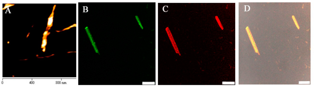 Pharmaceutics 07 00122 g003 1024